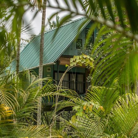 Kedara Village Sultan Bathery Bagian luar foto