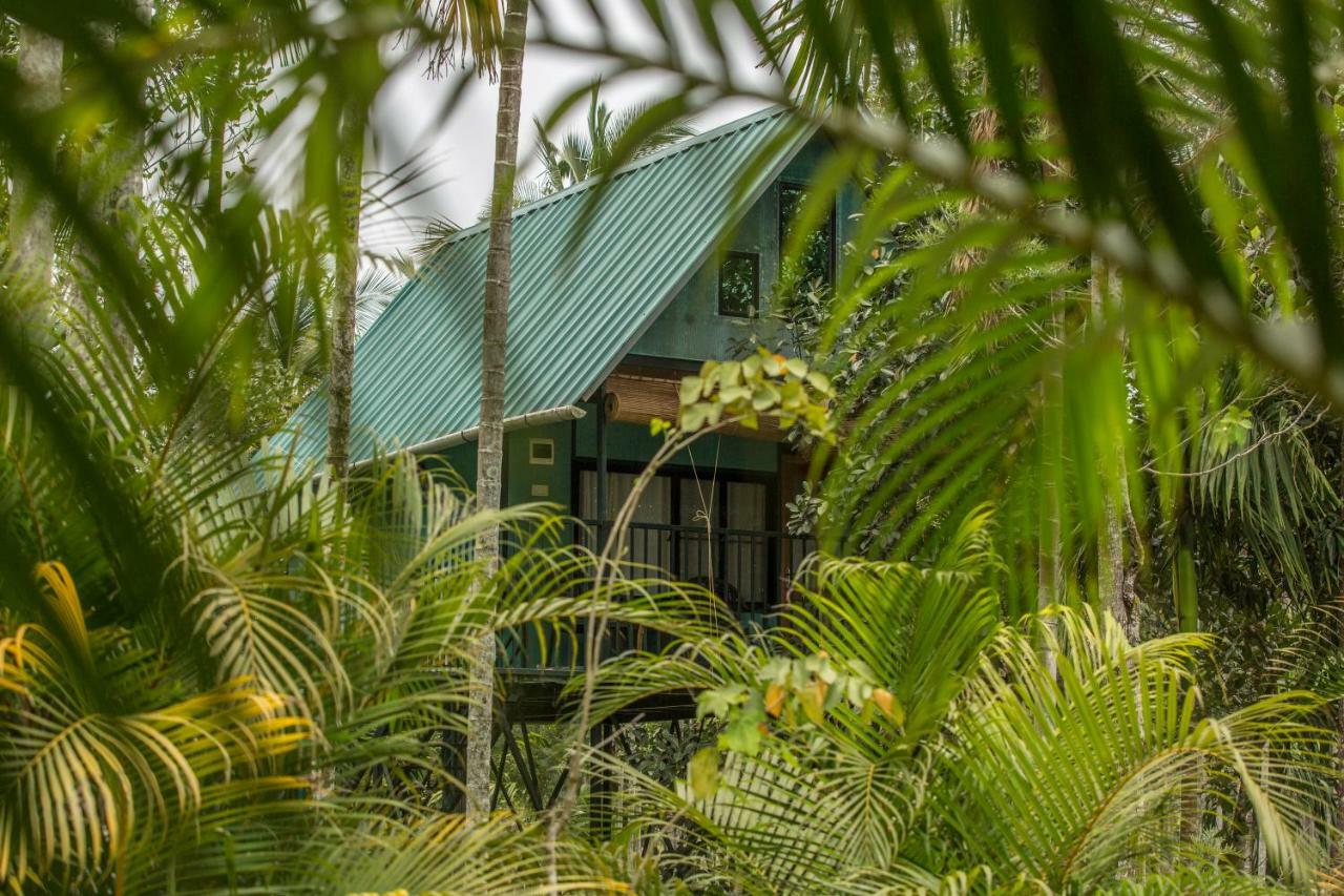 Kedara Village Sultan Bathery Bagian luar foto